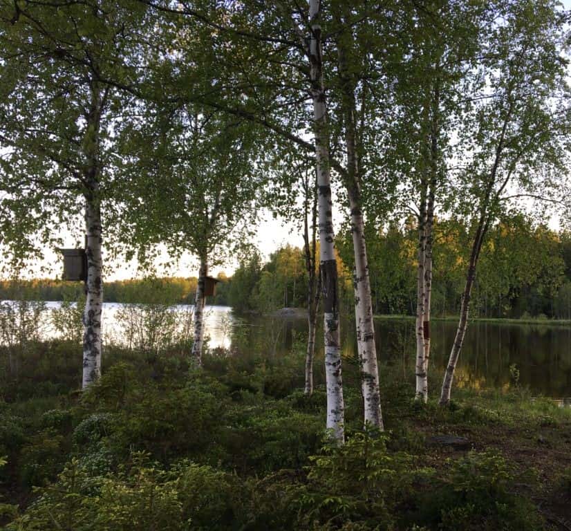Västerlångslädan