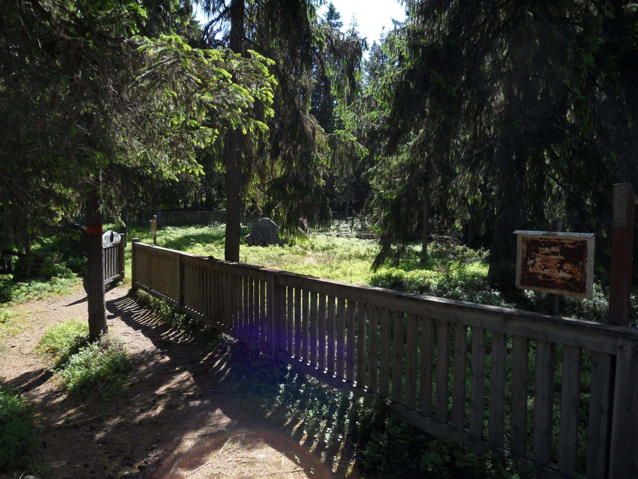 Gallery photo 2