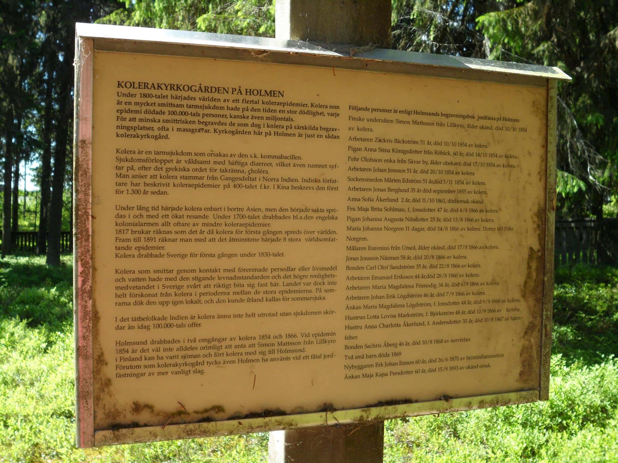 Gallery photo 5