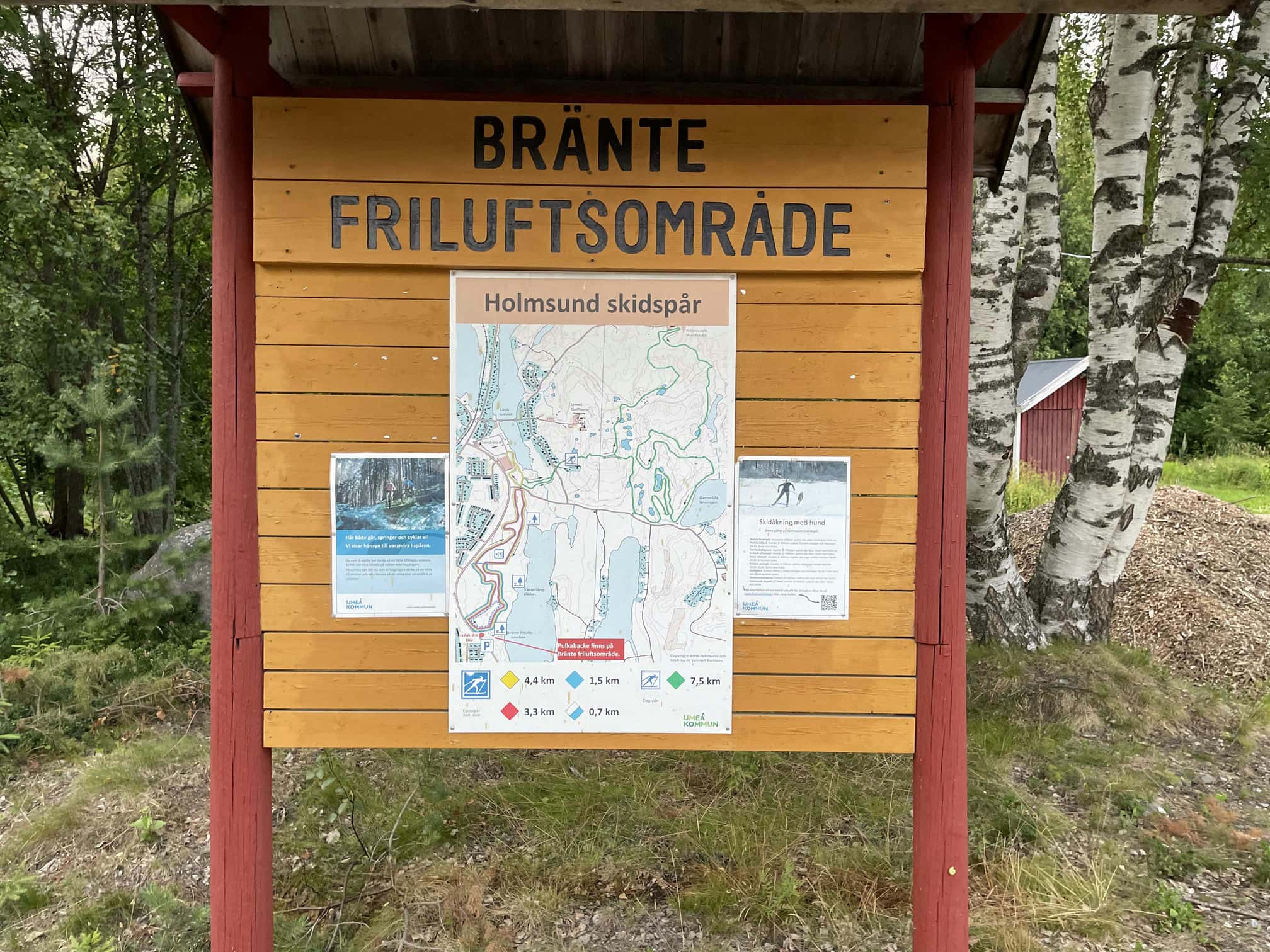 Fotografi: iPhone 12 Pro, 2024-07-23