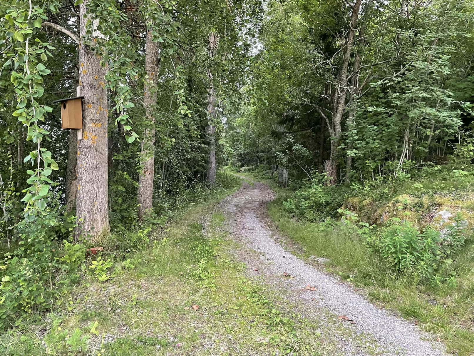 Fotografi: iPhone 12 Pro, 2024-07-23