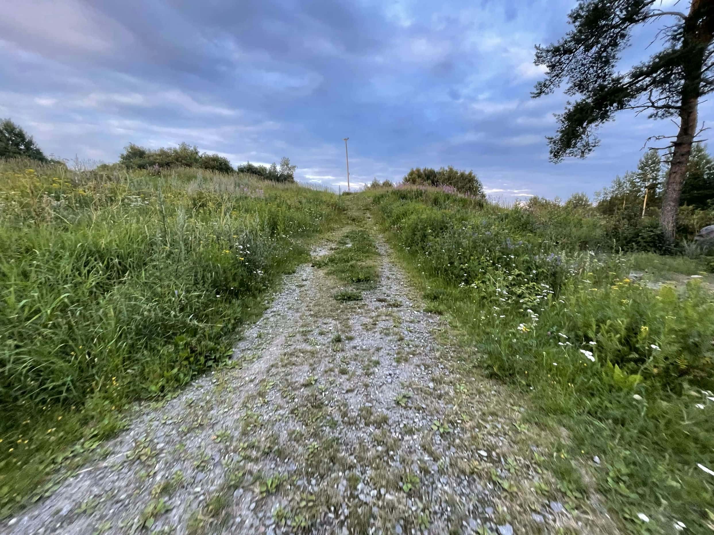 Fotografi: iPhone 12 Pro, 2024-07-23