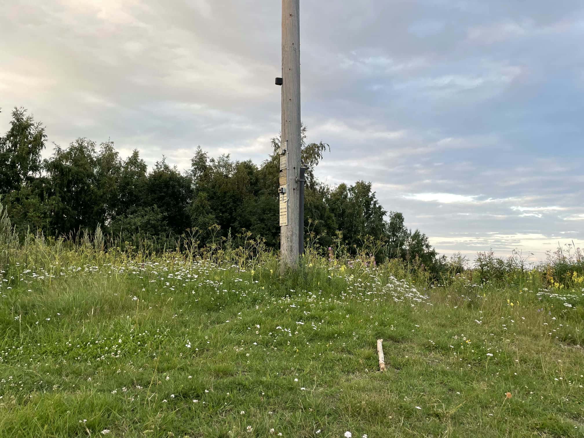 Fotografi: iPhone 12 Pro, 2024-07-23