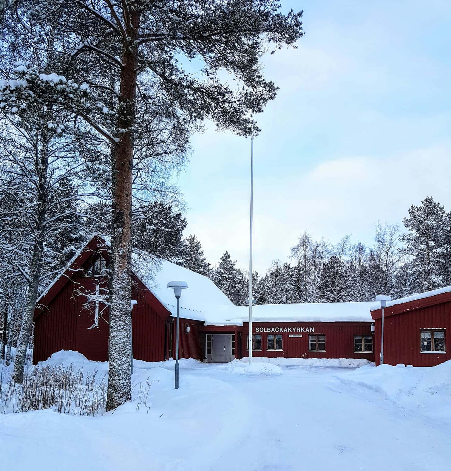 Julgran uppe på scenen.