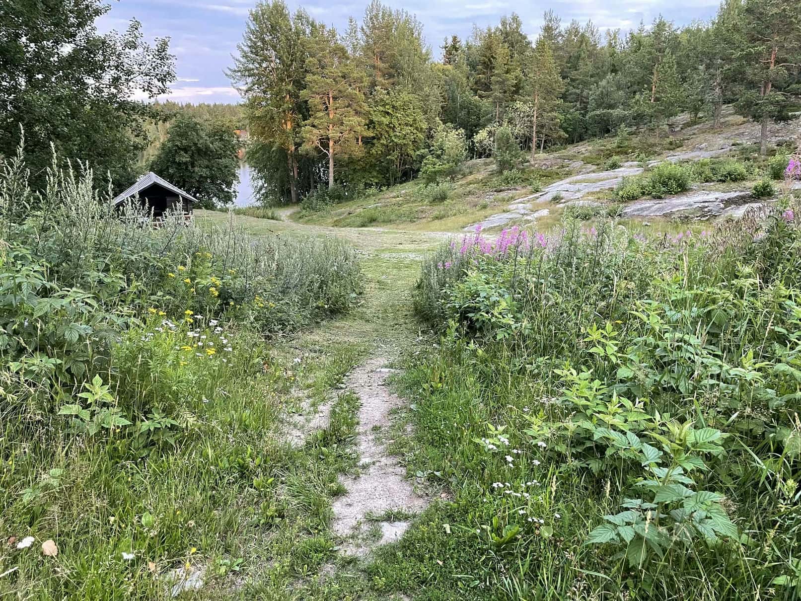 Fotografi: iPhone 12 Pro, 2024-07-23