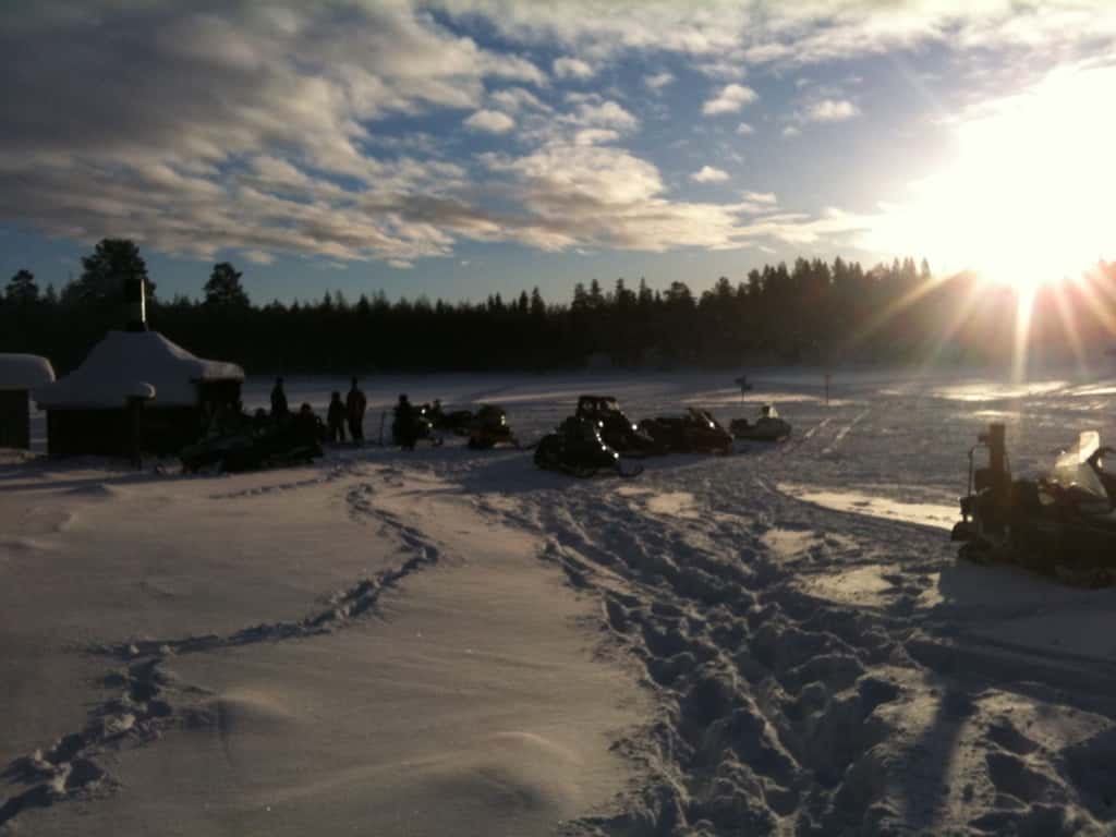 Samling av skotrar under vintern.