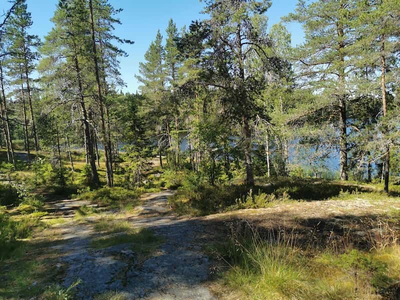 Uppe på en klippa vid vattnet.