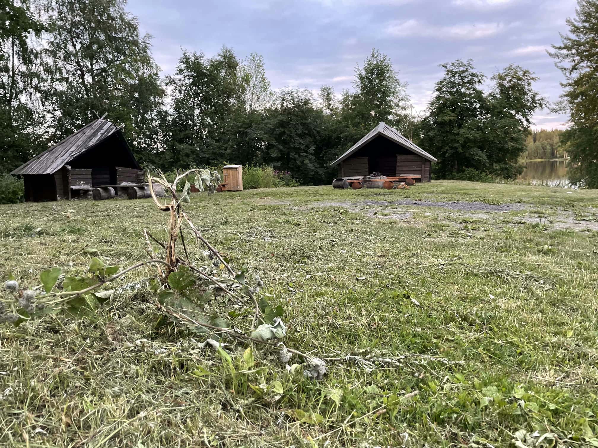 Fotografi: iPhone 12 Pro, 2024-07-23